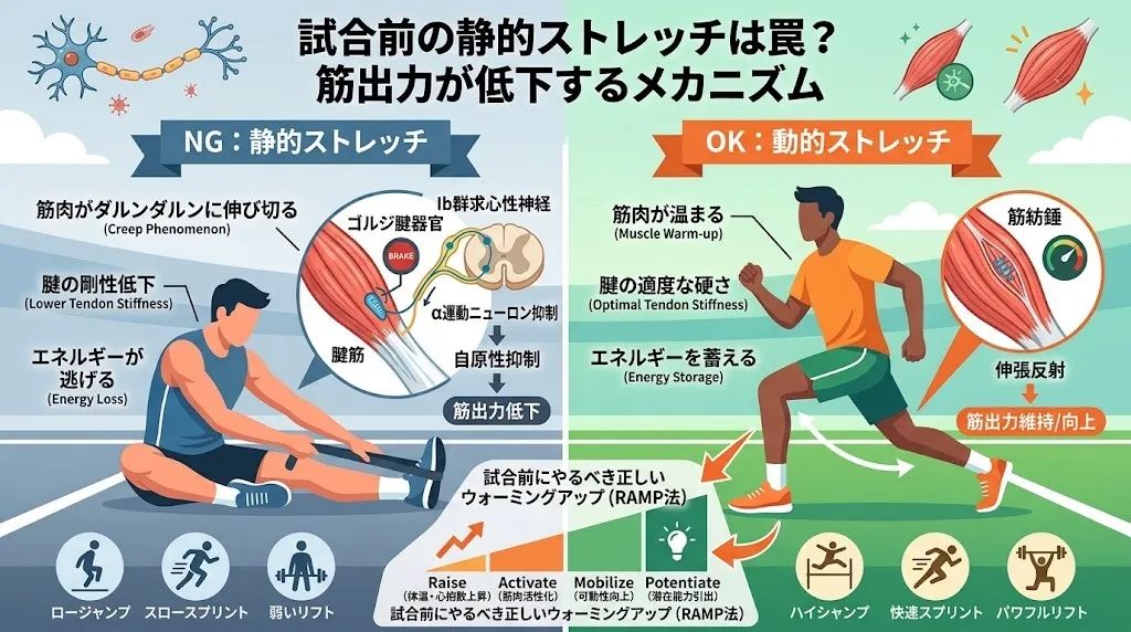 【試合前 ストレッチ 整骨院】試合前のストレッチはどうすればいい?